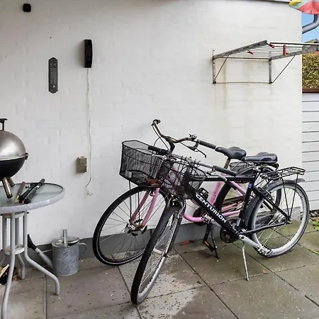 Ae298-aeroskobing-rosenstraede-36 *